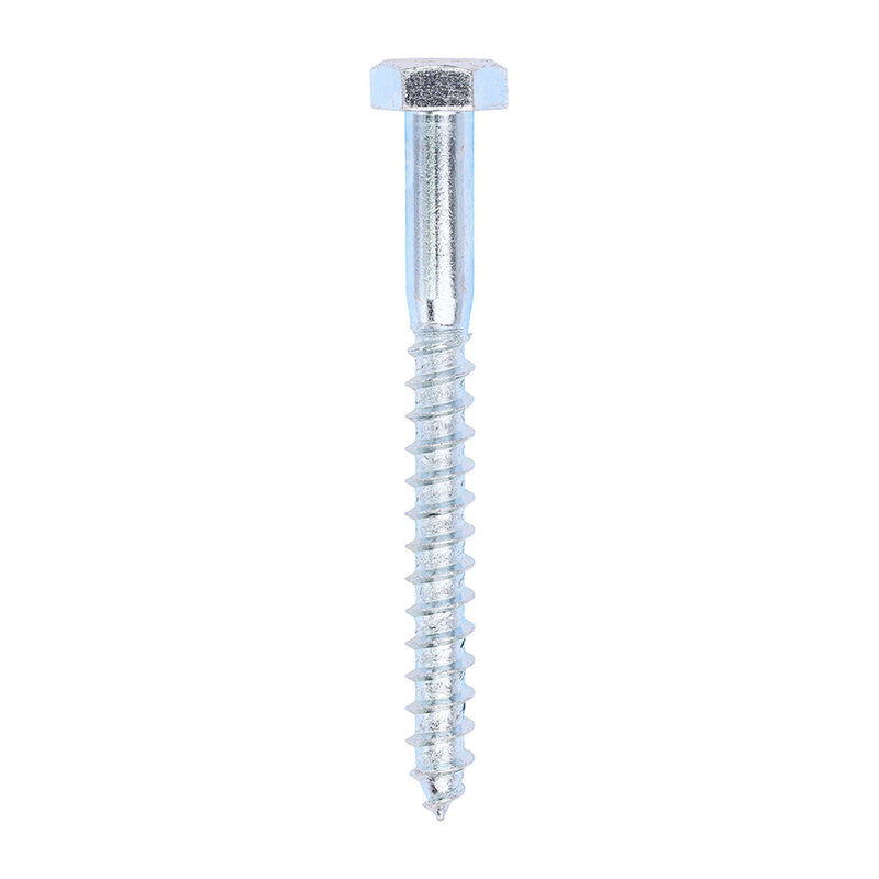 Coach Screw