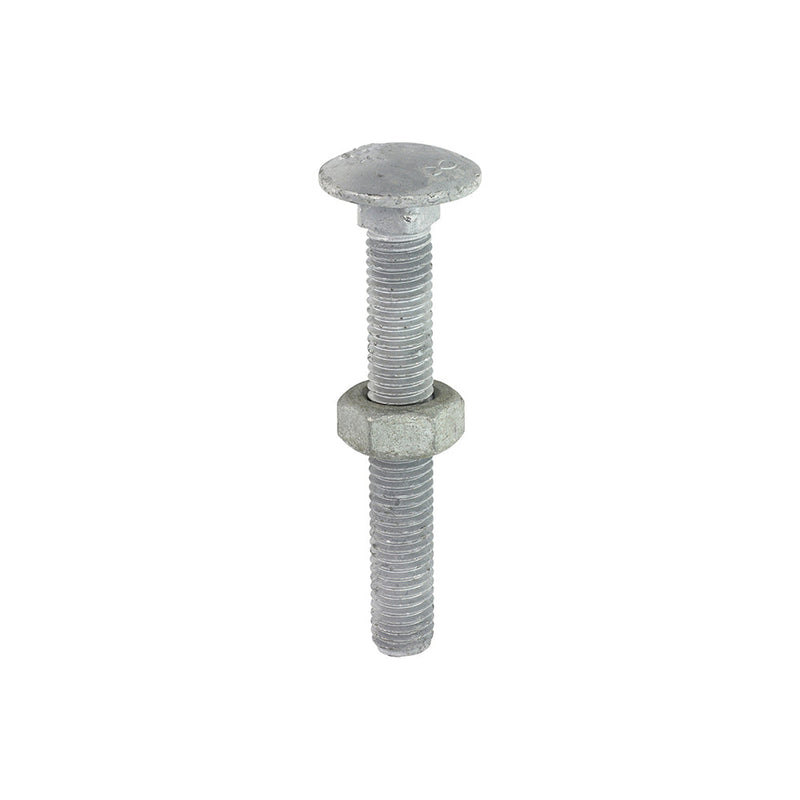 Carriage Bolts