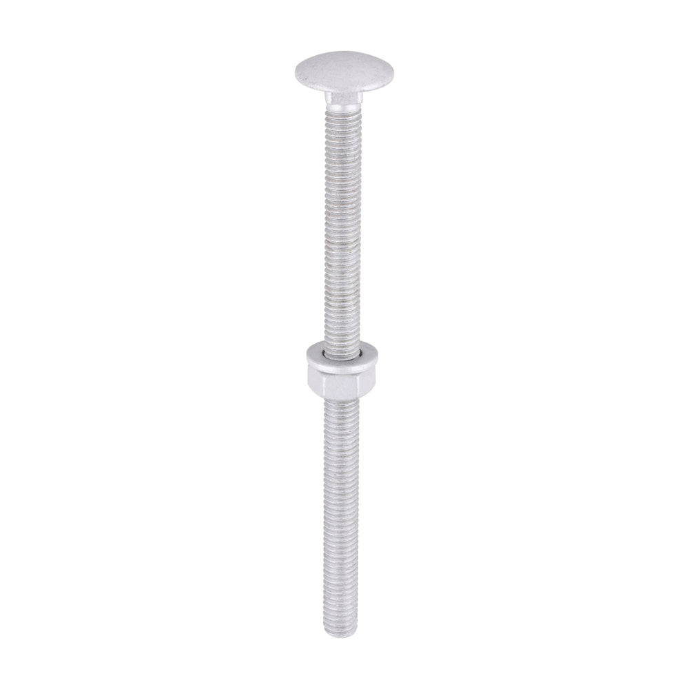 Carriage Bolts Hex Nuts & Form A Washers - Dome - Exterior - Silver | M6 x 100 product image
