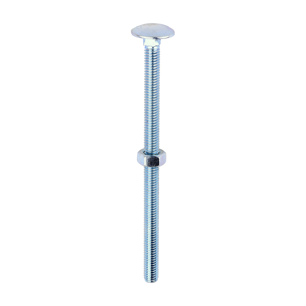Carriage Bolts & Hex Nuts - Zinc | M6 x 100 product image
