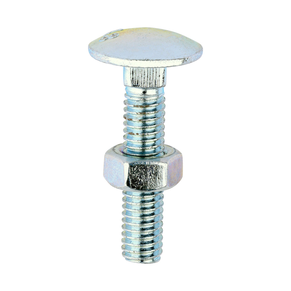 Carriage Bolts & Hex Nuts - Zinc | M6 x 30 product image