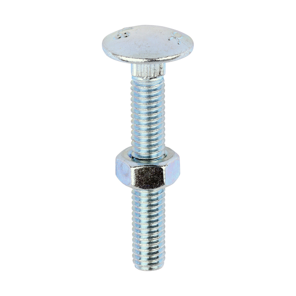 Carriage Bolts & Hex Nuts - Zinc | M6 x 40 product image