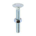 Carriage Bolts & Hex Nuts - Zinc | M6 x 40 product image