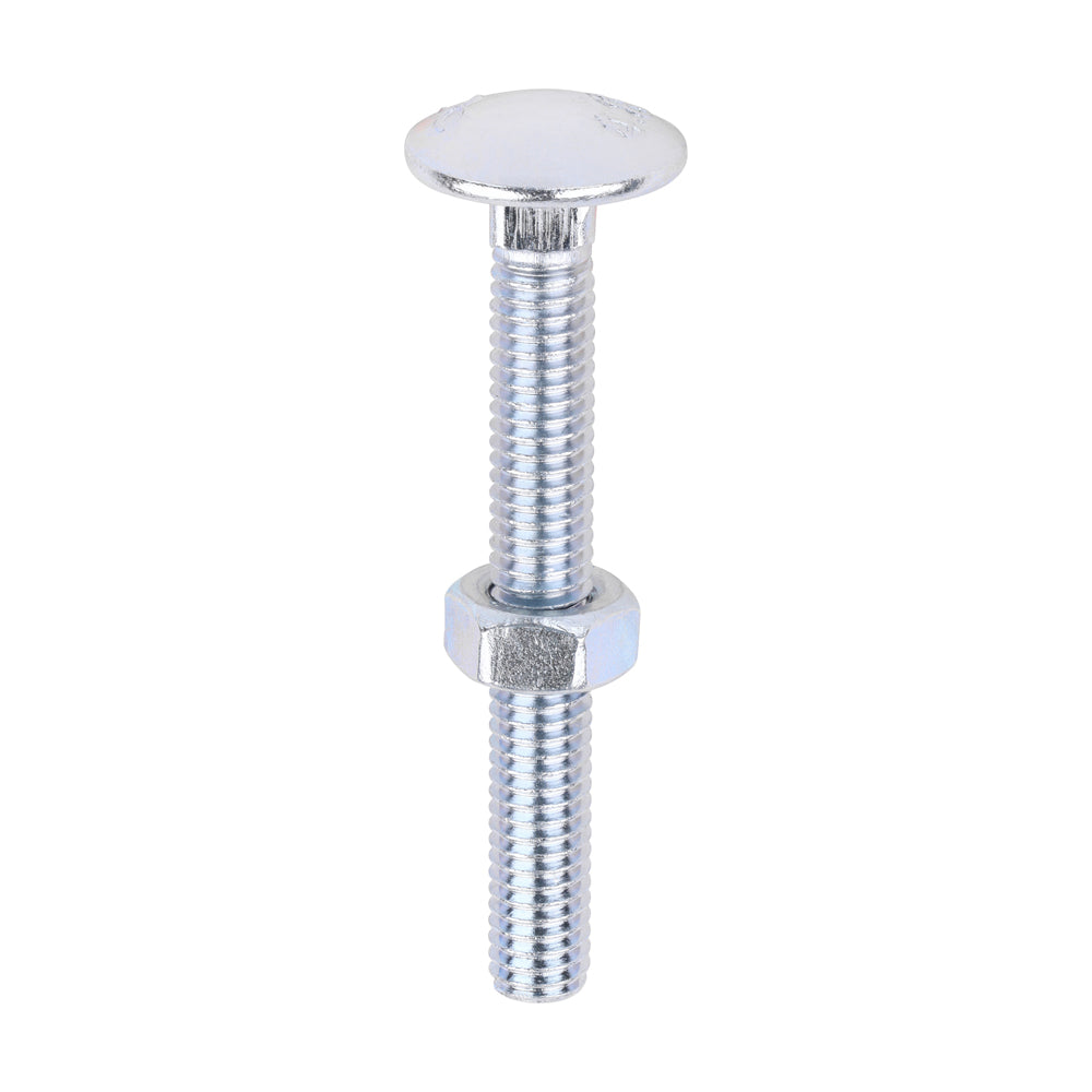 Carriage Bolts & Hex Nuts - Zinc | M6 x 50 product image