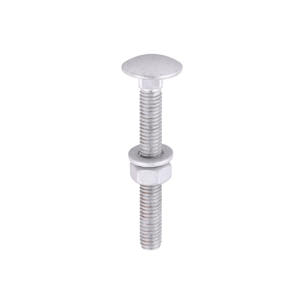 Carriage Bolts Hex Nuts & Form A Washers - Dome - Exterior - Silver | M6 x 50 product image