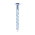 Coach Screws - Hex - Zinc | 6.0 x 50 product image