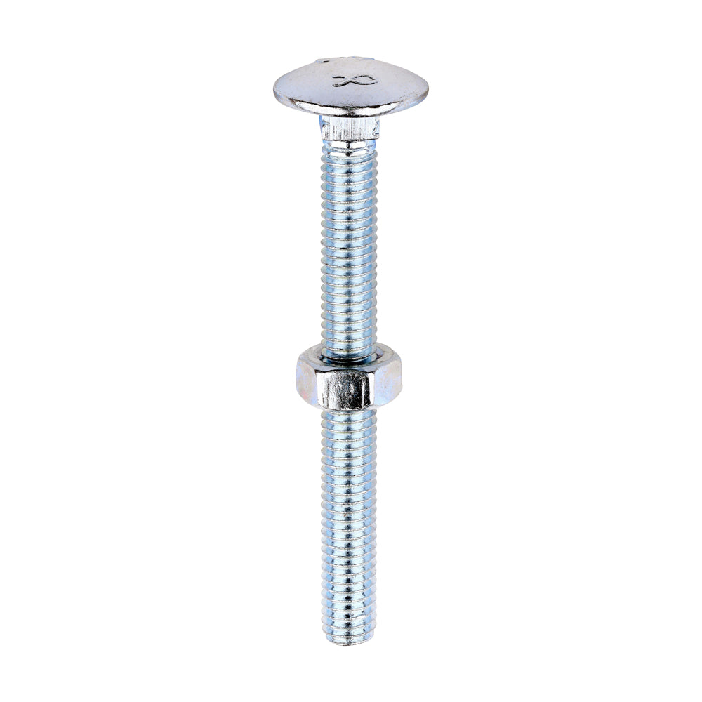 Carriage Bolts & Hex Nuts - Zinc | M6 x 60 product image