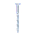 Coach Screws - Hex - Zinc | 6.0 x 60 product image