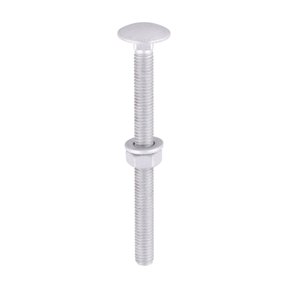 Carriage Bolts Hex Nuts & Form A Washers - Dome - Exterior - Silver | M6 x 75 product image