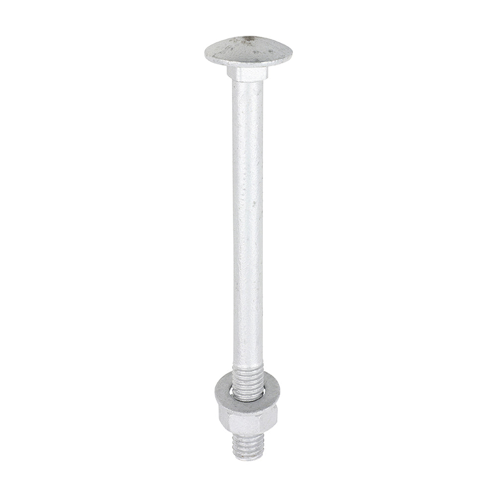 Carriage Bolts Hex Nuts & Form A Washers - Dome - Exterior - Silver | M8 x 100 product image