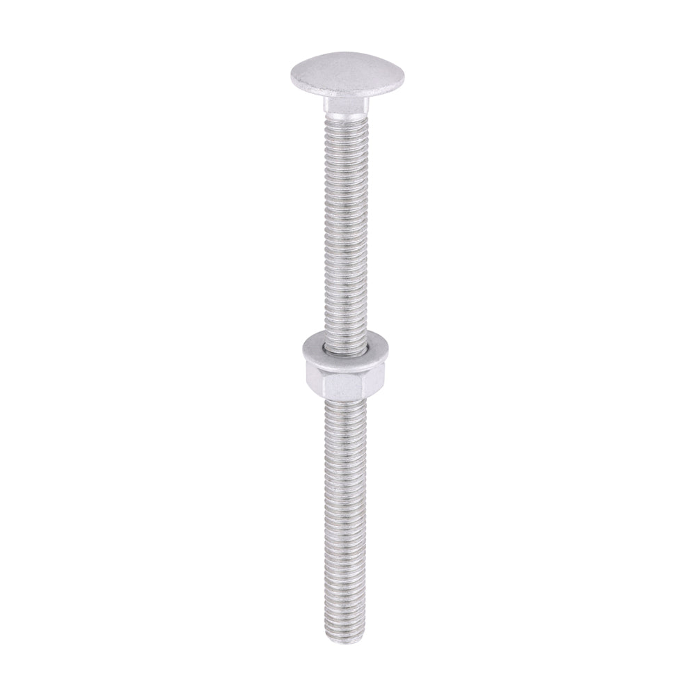Carriage Bolts Hex Nuts & Form A Washers - Dome - Exterior - Silver | M8 x 110 product image