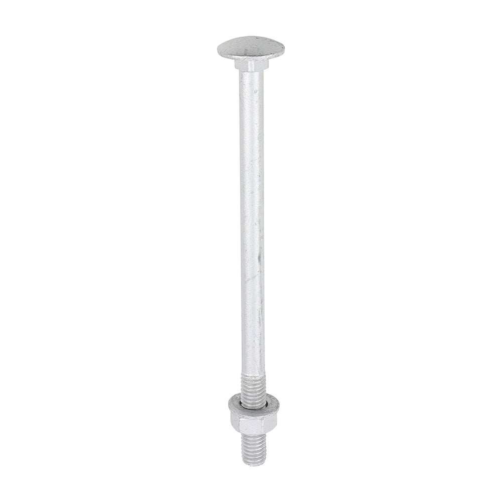 Carriage Bolts Hex Nuts & Form A Washers - Dome - Exterior - Silver | M8 x 130 product image