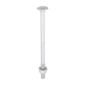 Carriage Bolts Hex Nuts & Form A Washers - Dome - Exterior - Silver | M8 x 130 product image