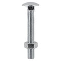 Carriage Bolts & Hex Nuts - Stainless Steel | M8 x 150 product image