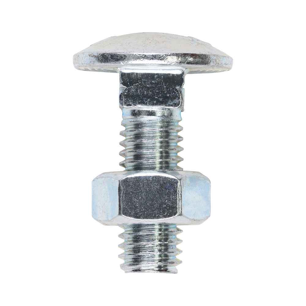 Carriage Bolts & Hex Nuts - Zinc | M8 x 25 product image