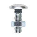 Carriage Bolts & Hex Nuts - Zinc | M8 x 25 product image