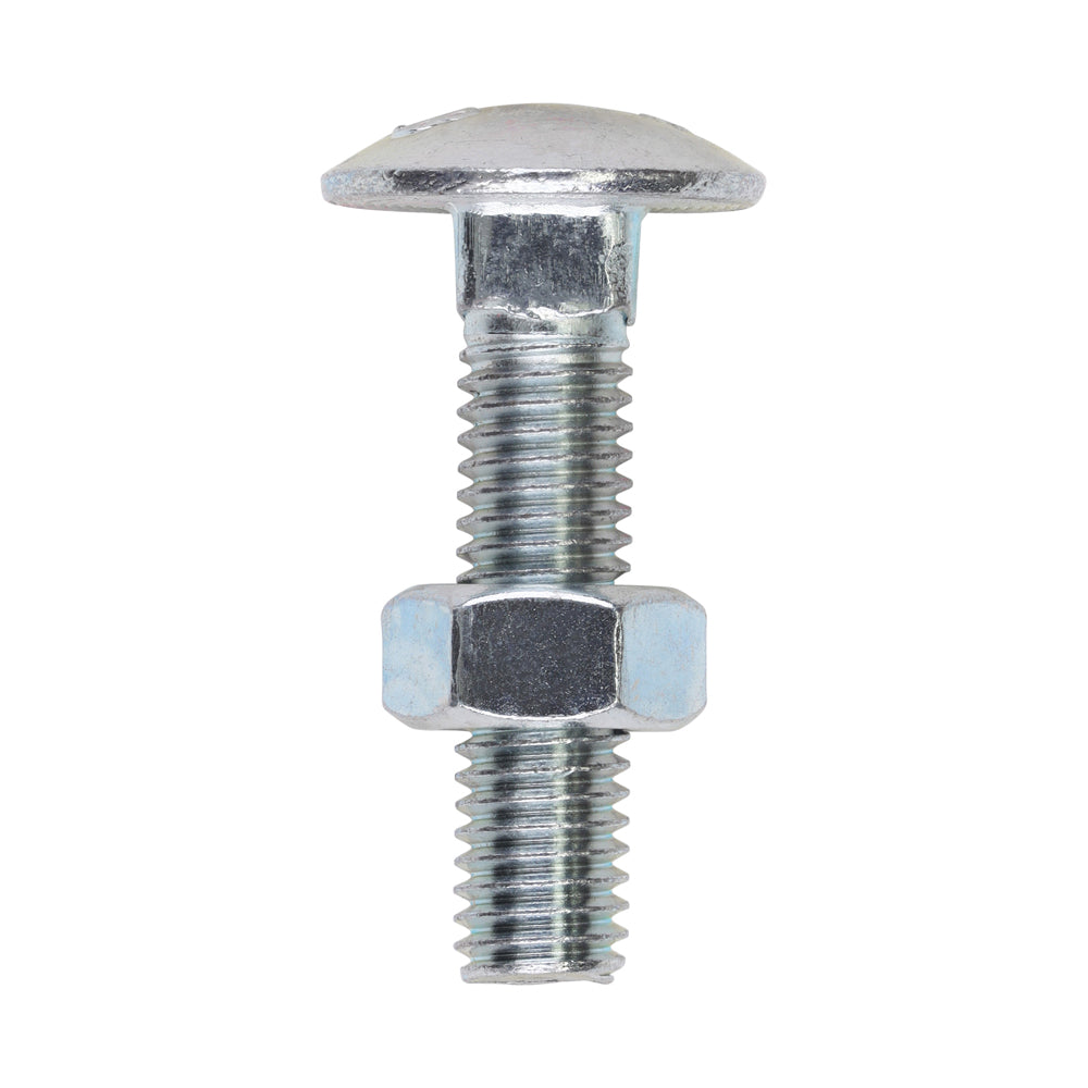 Carriage Bolts & Hex Nuts - Zinc | M8 x 35 product image