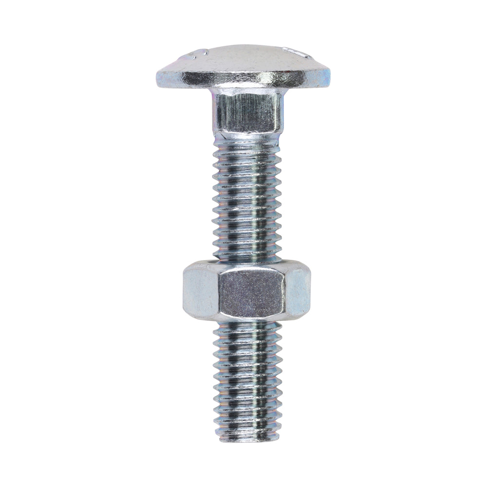 Carriage Bolts & Hex Nuts - Zinc | M8 x 40 product image