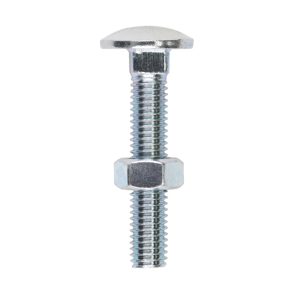 Carriage Bolts & Hex Nuts - Zinc | M8 x 45 product image