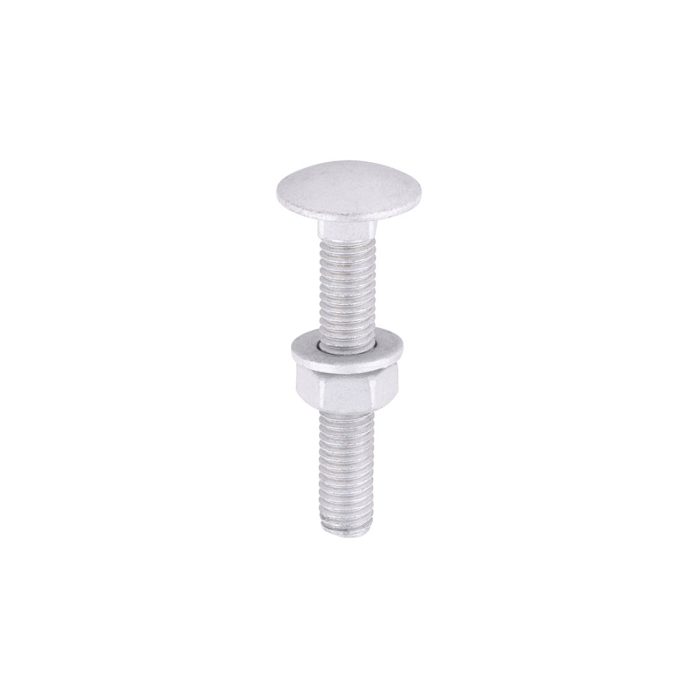 Carriage Bolts Hex Nuts & Form A Washers - Dome - Exterior - Silver | M8 x 50 product image