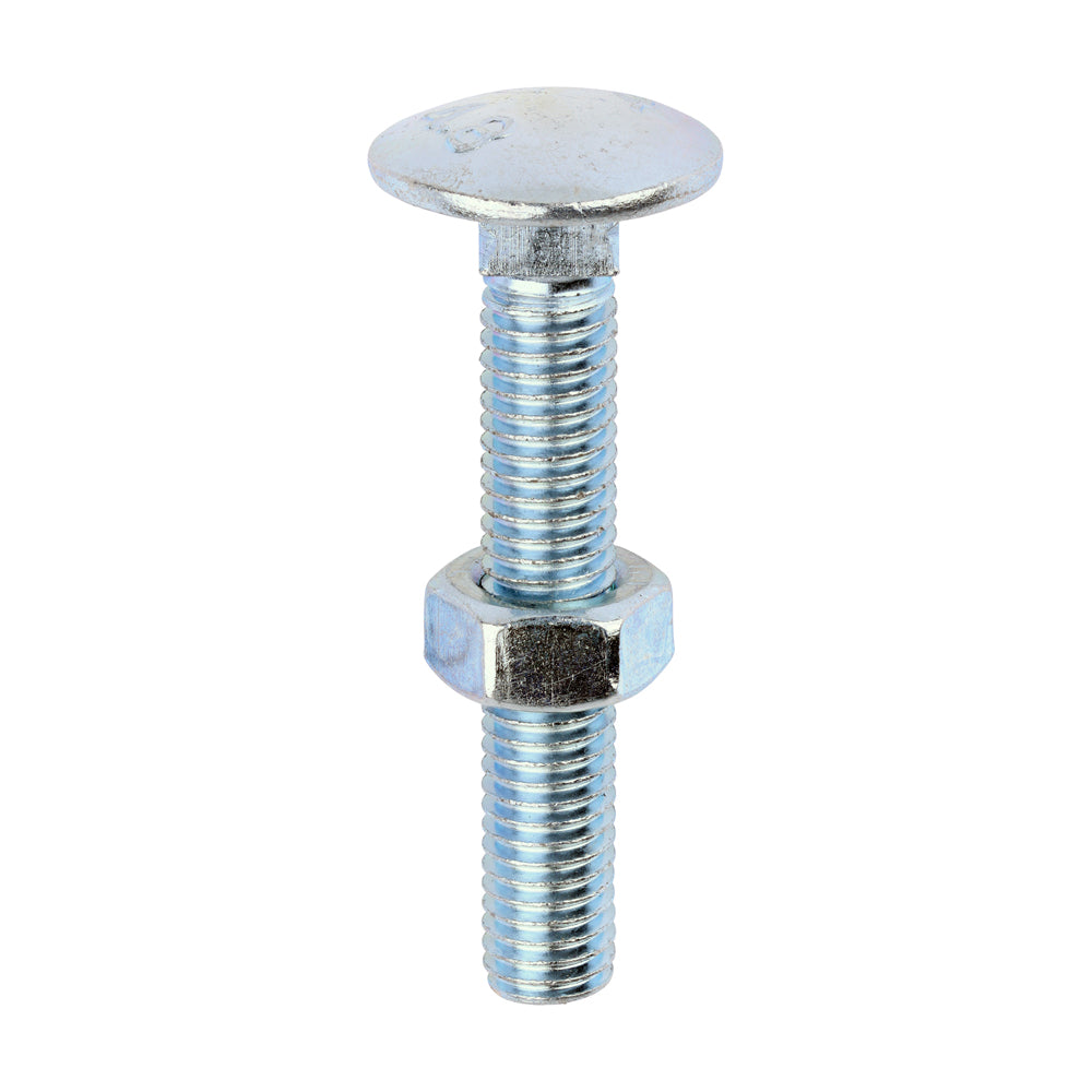 Carriage Bolts & Hex Nuts - Zinc | M8 x 50 product image