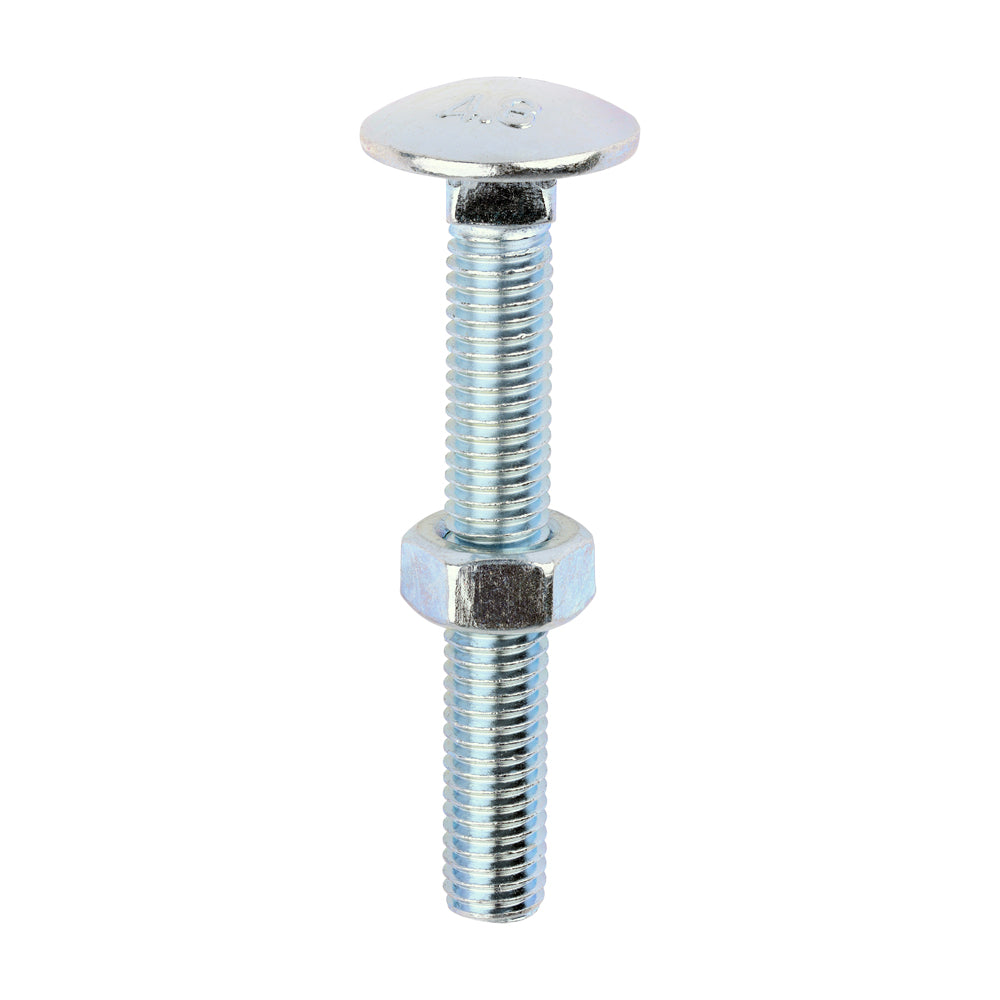 Carriage Bolts & Hex Nuts - Zinc | M8 x 60 product image