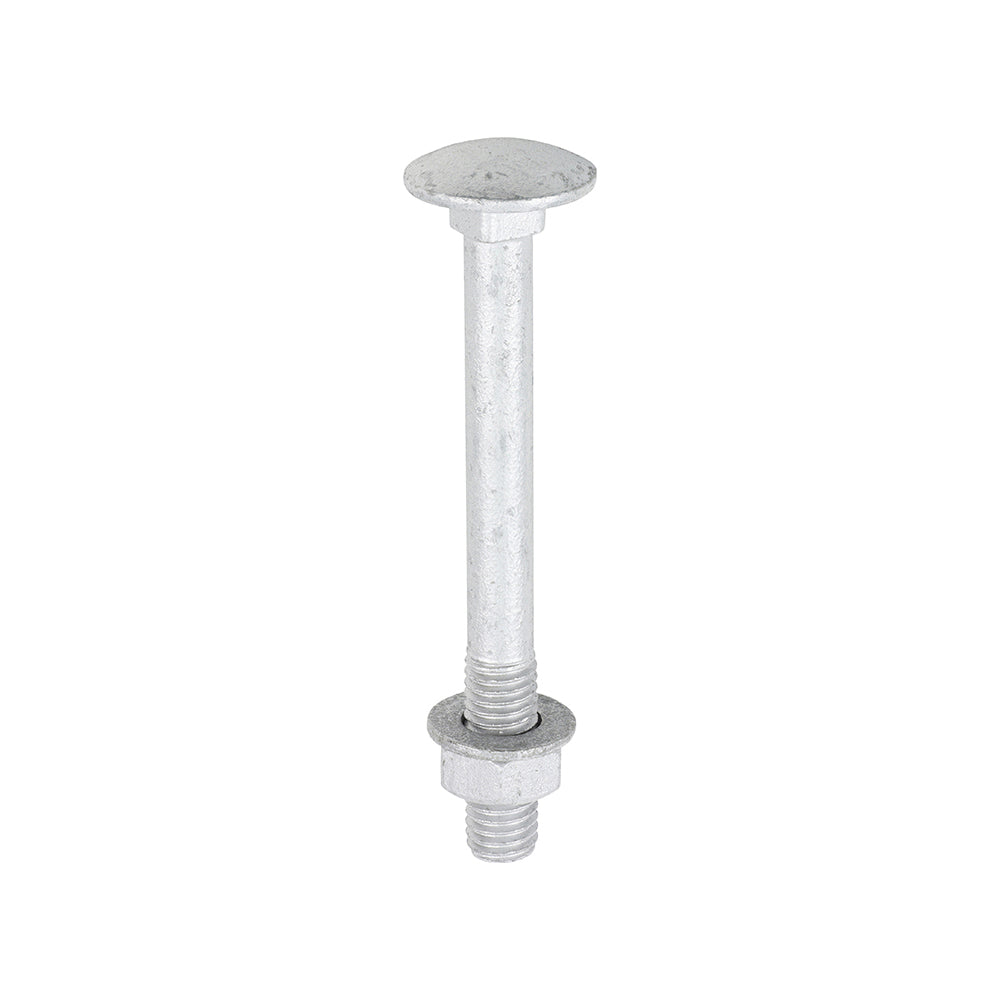 Carriage Bolts Hex Nuts & Form A Washers - Dome - Exterior - Silver | M8 x 75 product image