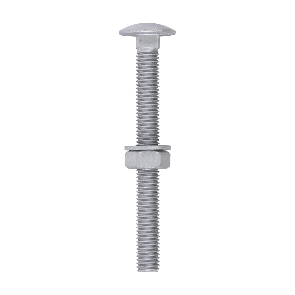 Carriage Bolts Hex Nuts & Form A Washers - Dome - Exterior - Silver | M10 x 100 product image