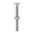 Carriage Bolts Hex Nuts & Form A Washers - Dome - Exterior - Silver | M10 x 100 product image