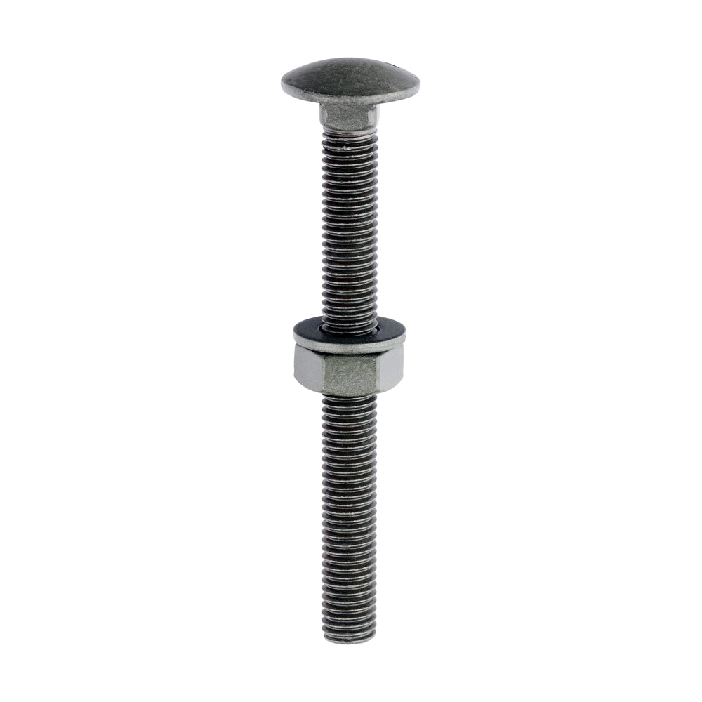 Carriage Bolts Hex Nuts & Form A Washers - Dome - Exterior - Green | M10 x 100 product image