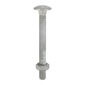 Carriage Bolts & Hex Nuts - Hot Dipped Galvanised | M10 x 110 product image