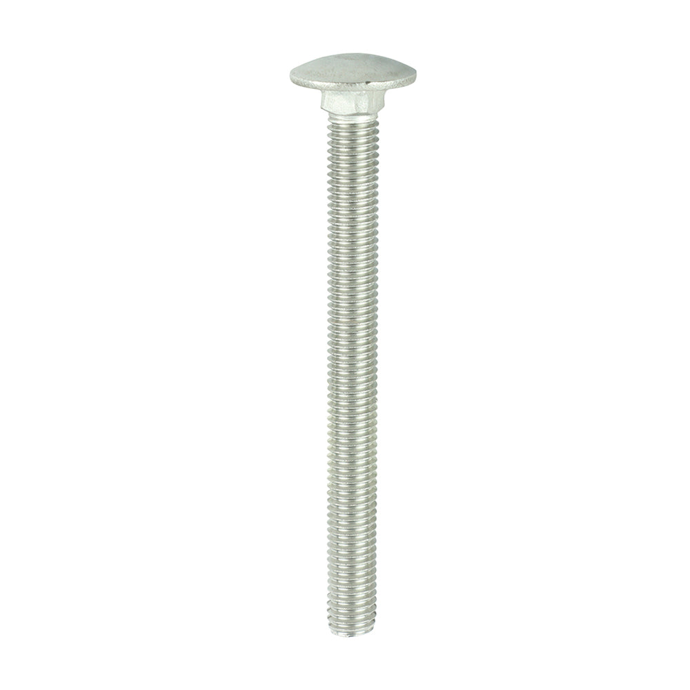 Carriage Bolts - A2 Stainless Steel | M10 x 110 product image