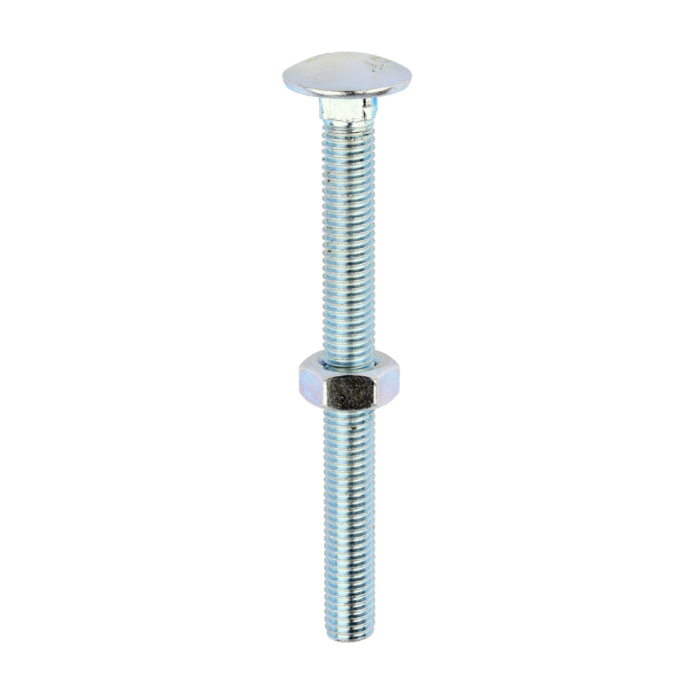 Carriage Bolts & Hex Nuts - Zinc | M10 x 110 product image