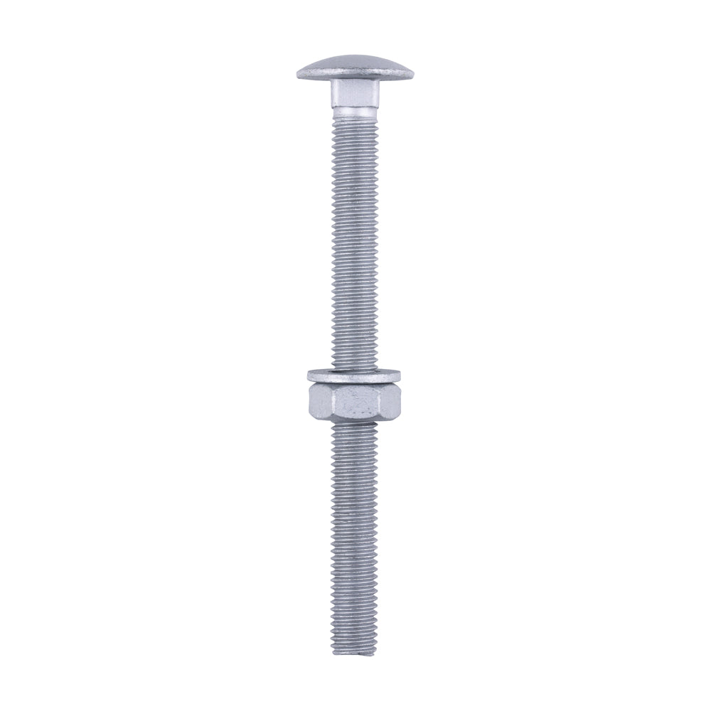 Carriage Bolts Hex Nuts & Form A Washers - Dome - Exterior - Silver | M10 x 120 product image