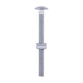 Carriage Bolts Hex Nuts & Form A Washers - Dome - Exterior - Silver | M10 x 120 product image