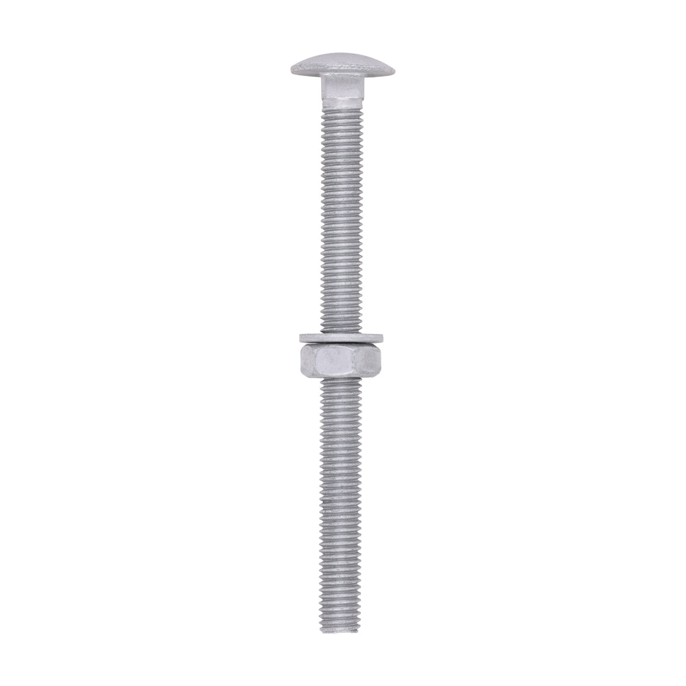 Carriage Bolts Hex Nuts & Form A Washers - Dome - Exterior - Silver | M10 x 130 product image