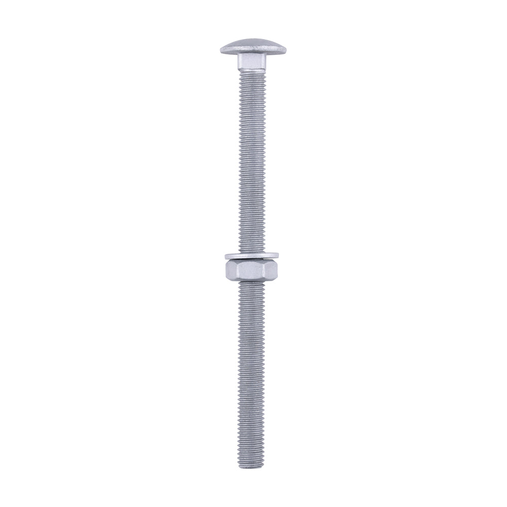 Carriage Bolts Hex Nuts & Form A Washers - Dome - Exterior - Silver | M10 x 150 product image