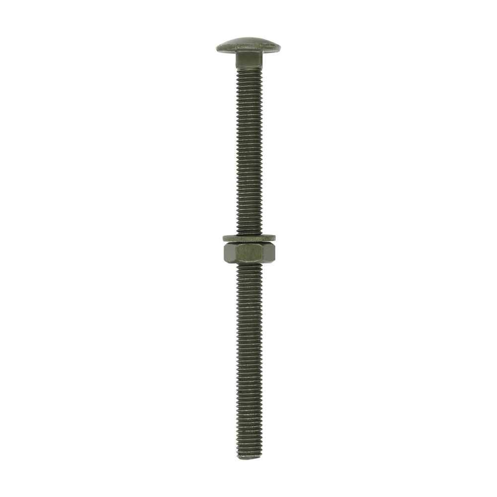 Carriage Bolts Hex Nuts & Form A Washers - Dome - Exterior - Green | M10 x 150 product image