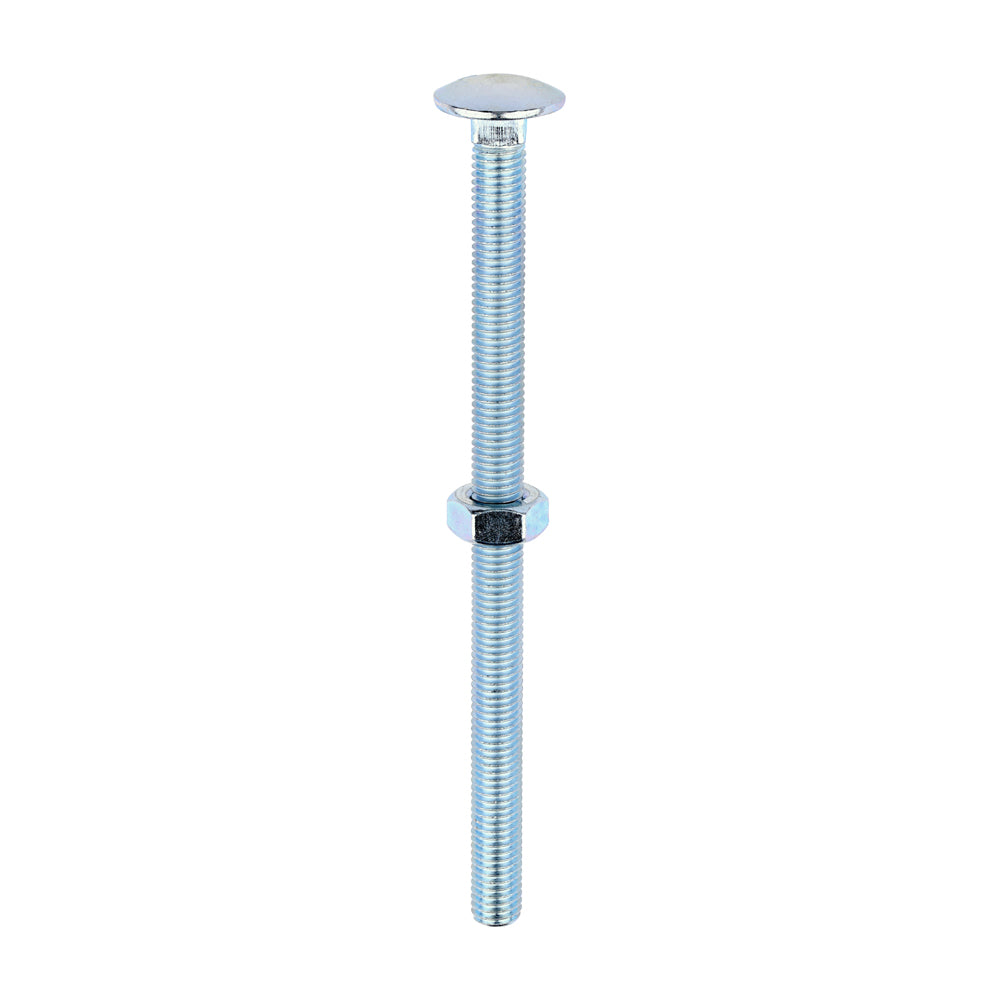 Carriage Bolts & Hex Nuts - Zinc | M10 x 160 product image