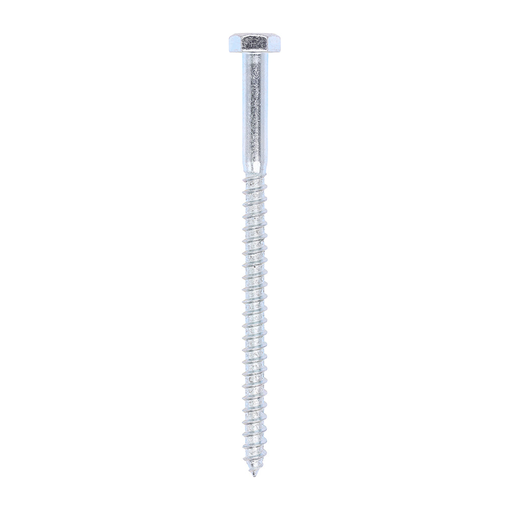 Coach Screws - Hex - Zinc | 10.0 x 160 product image