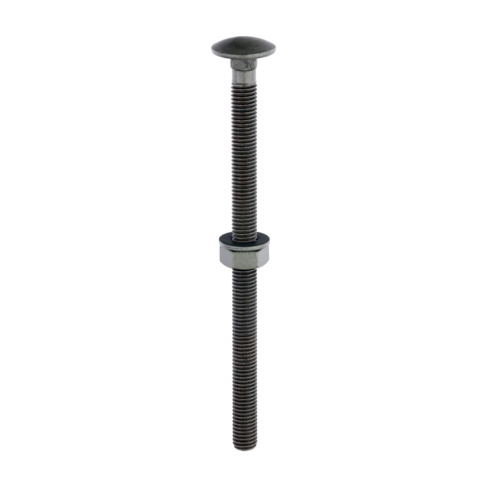Carriage Bolts Hex Nuts & Form A Washers - Dome - Exterior - Green | M10 x 160 product image