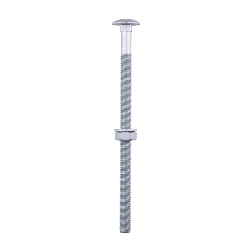 Carriage Bolts Hex Nuts & Form A Washers - Dome - Exterior - Silver | M10 x 180 product image