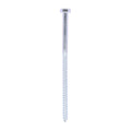 Coach Screws - Hex - Zinc | 10.0 x 200 product image