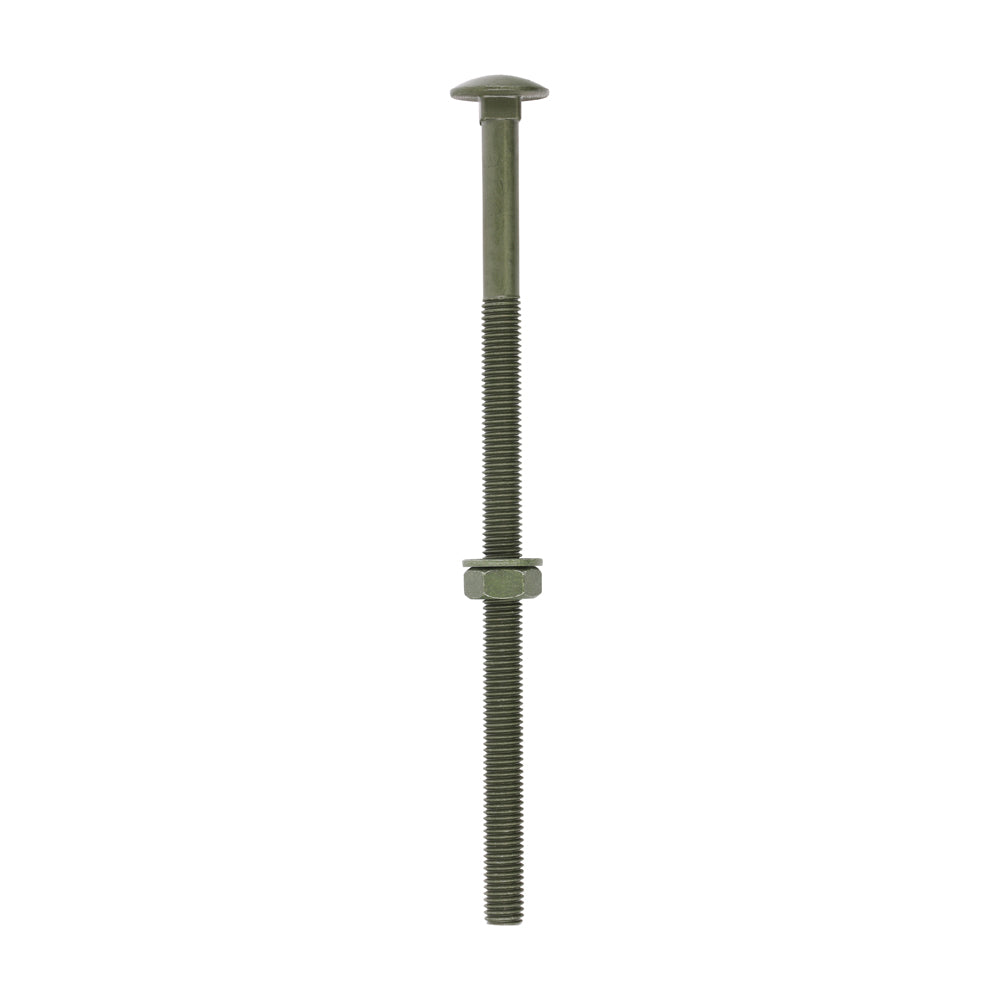 Carriage Bolts Hex Nuts & Form A Washers - Dome - Exterior - Green | M10 x 200 product image