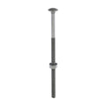Carriage Bolts Hex Nuts & Form A Washers - Dome - Exterior - Green | M10 x 220 product image