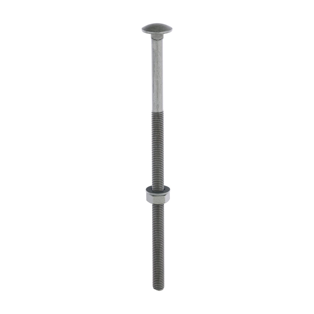 Carriage Bolts Hex Nuts & Form A Washers - Dome - Exterior - Green | M10 x 220 product image