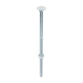 Carriage Bolts & Hex Nuts - Zinc | M10 x 240 product image