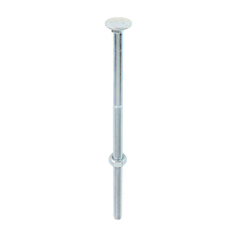 Carriage Bolts & Hex Nuts - Zinc | M10 x 240 product image
