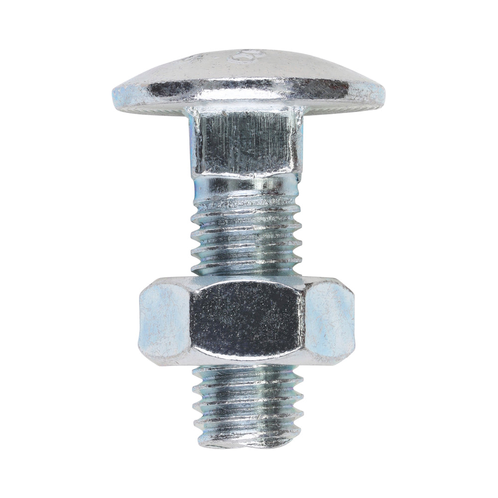 Carriage Bolts & Hex Nuts - Zinc | M10 x 30 product image