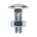 Carriage Bolts & Hex Nuts - Zinc | M10 x 30 product image